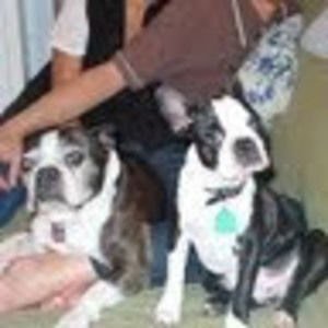 Meet your Posher, John